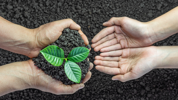 Preservation of Legacy and Culture