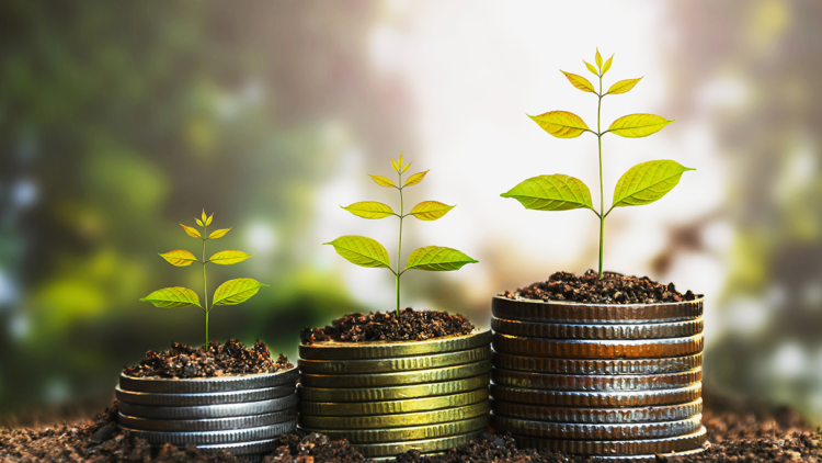 Stable and Patient Capital Approach