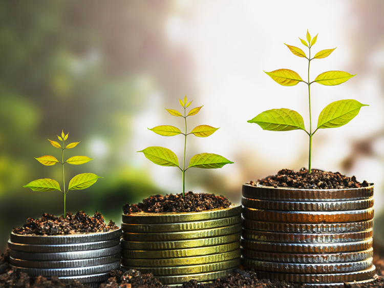 Stable and Patient Capital Approach